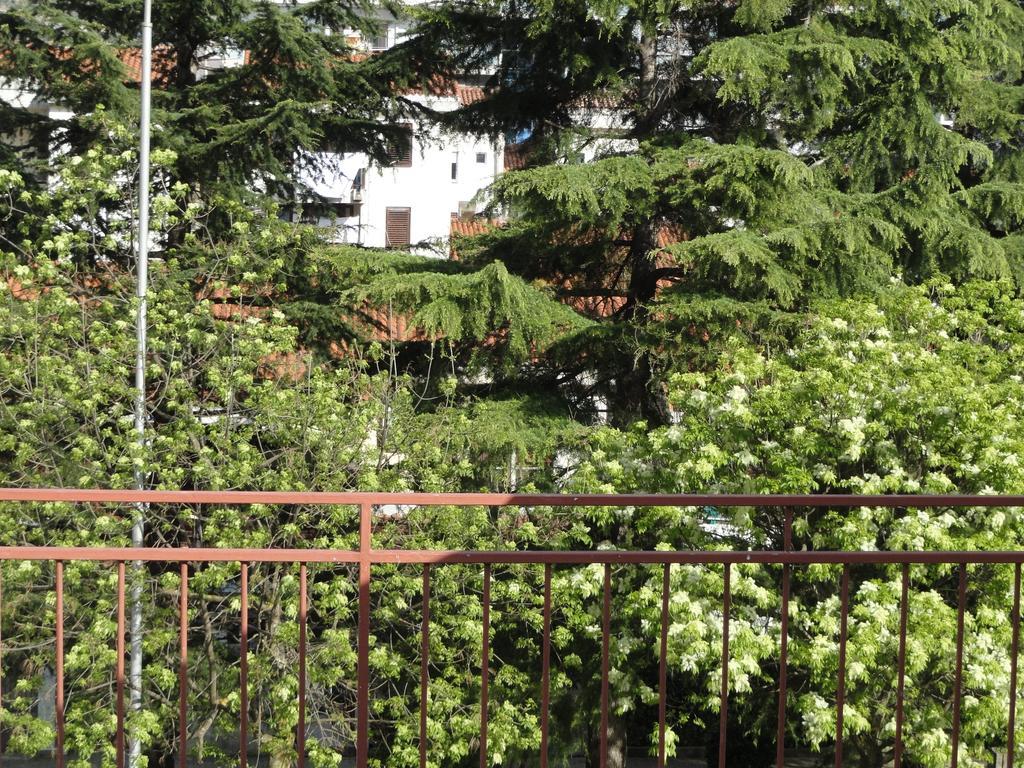 Apartments Pribilovic Budva Exterior photo